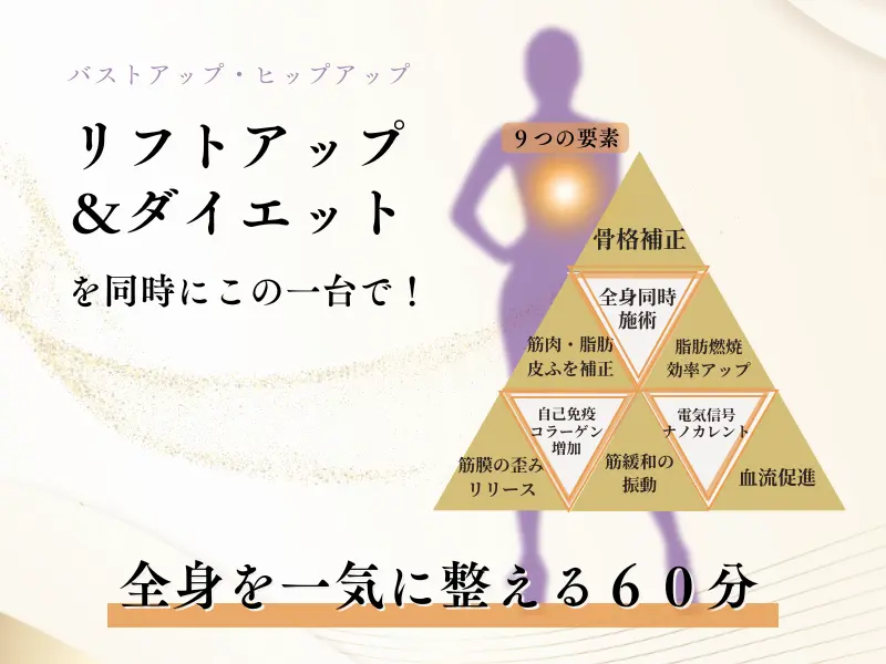 ナノカレント®️施術でリフトアップとダイエットを同時に叶える美容技術の説明画像。9つの要素が含まれた施術。